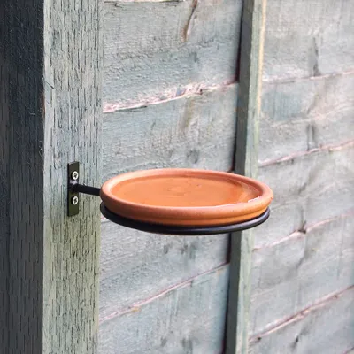 bird bath feeder