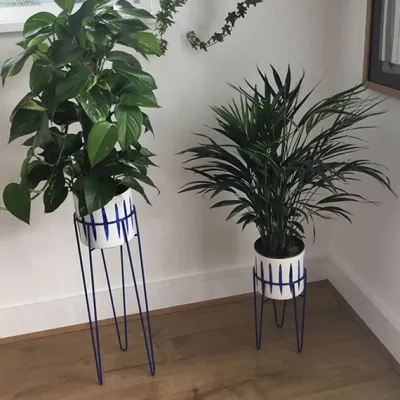 Hairpin Plant Stands
