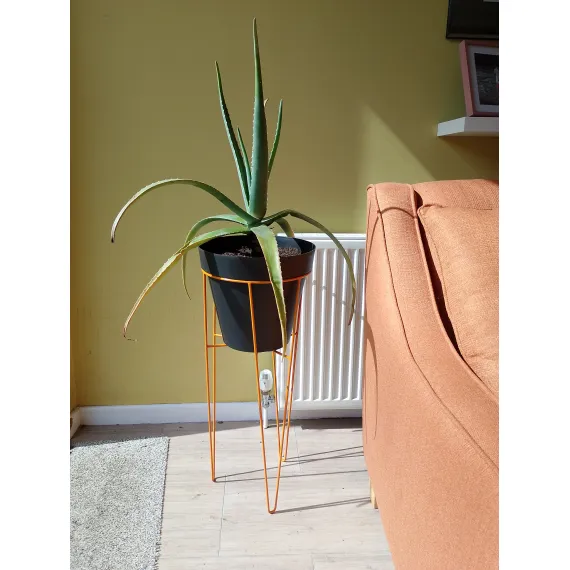Hairpin Plant Stands