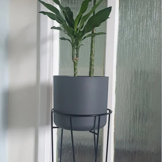 Hairpin Plant Stands