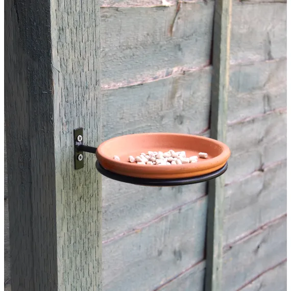 bird bath feeder