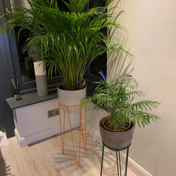 Hairpin Plant Stands