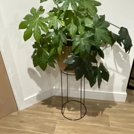 plant stand round
