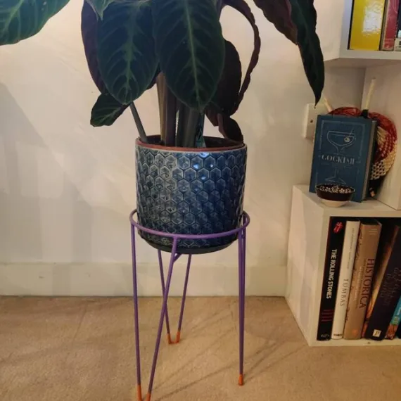 Hairpin Plant Stands
