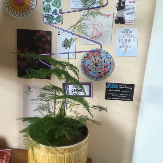 Plant Support