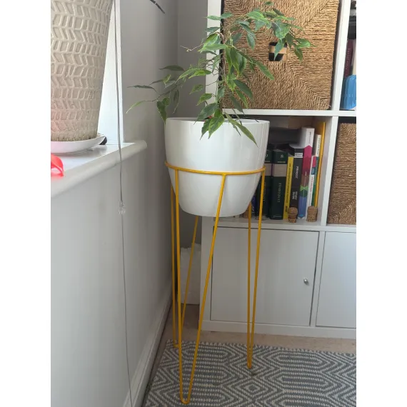 Hairpin Plant Stands
