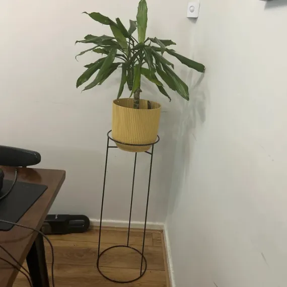 round plant stand