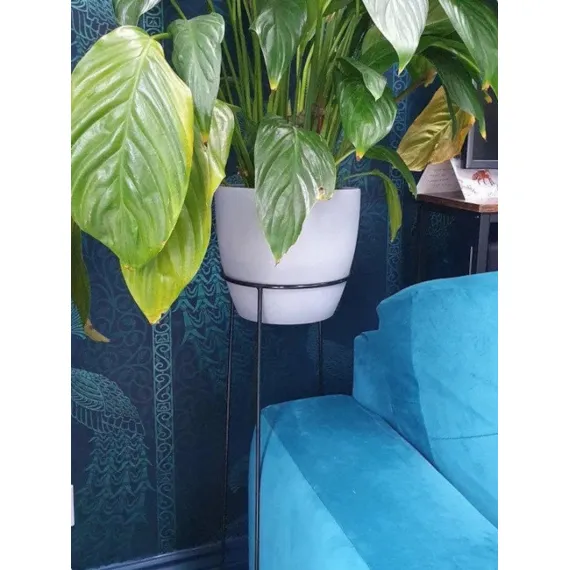 round plant stand